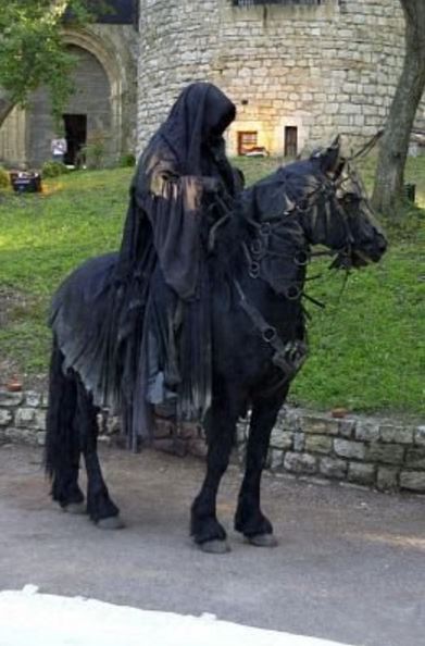 Lord of the Rings Horse
